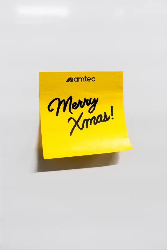 Christmas idea 1