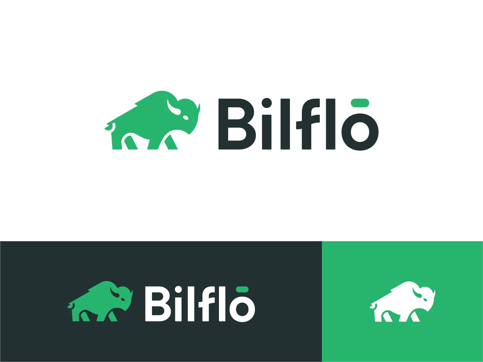 Logo presentation