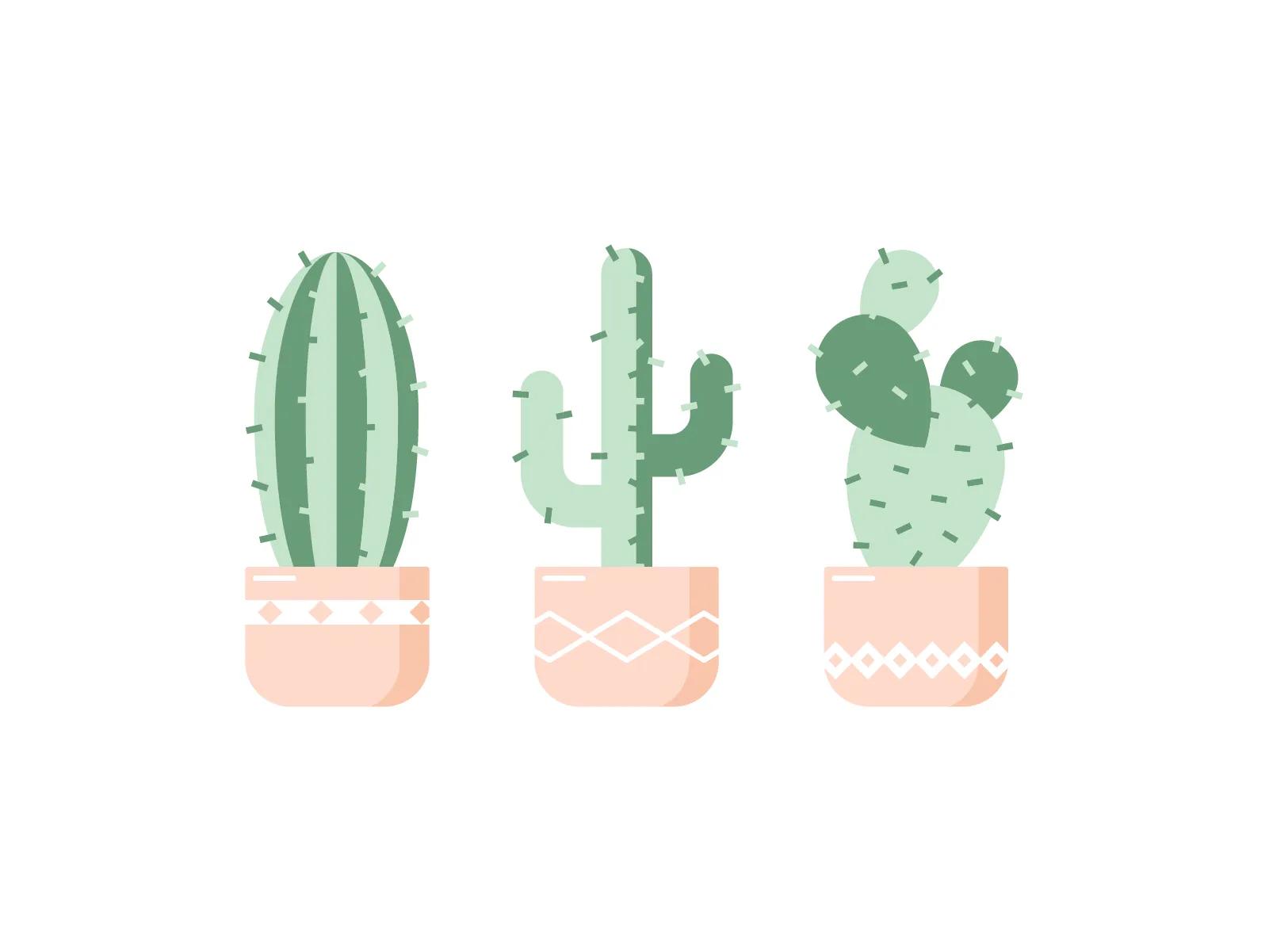 Cacti