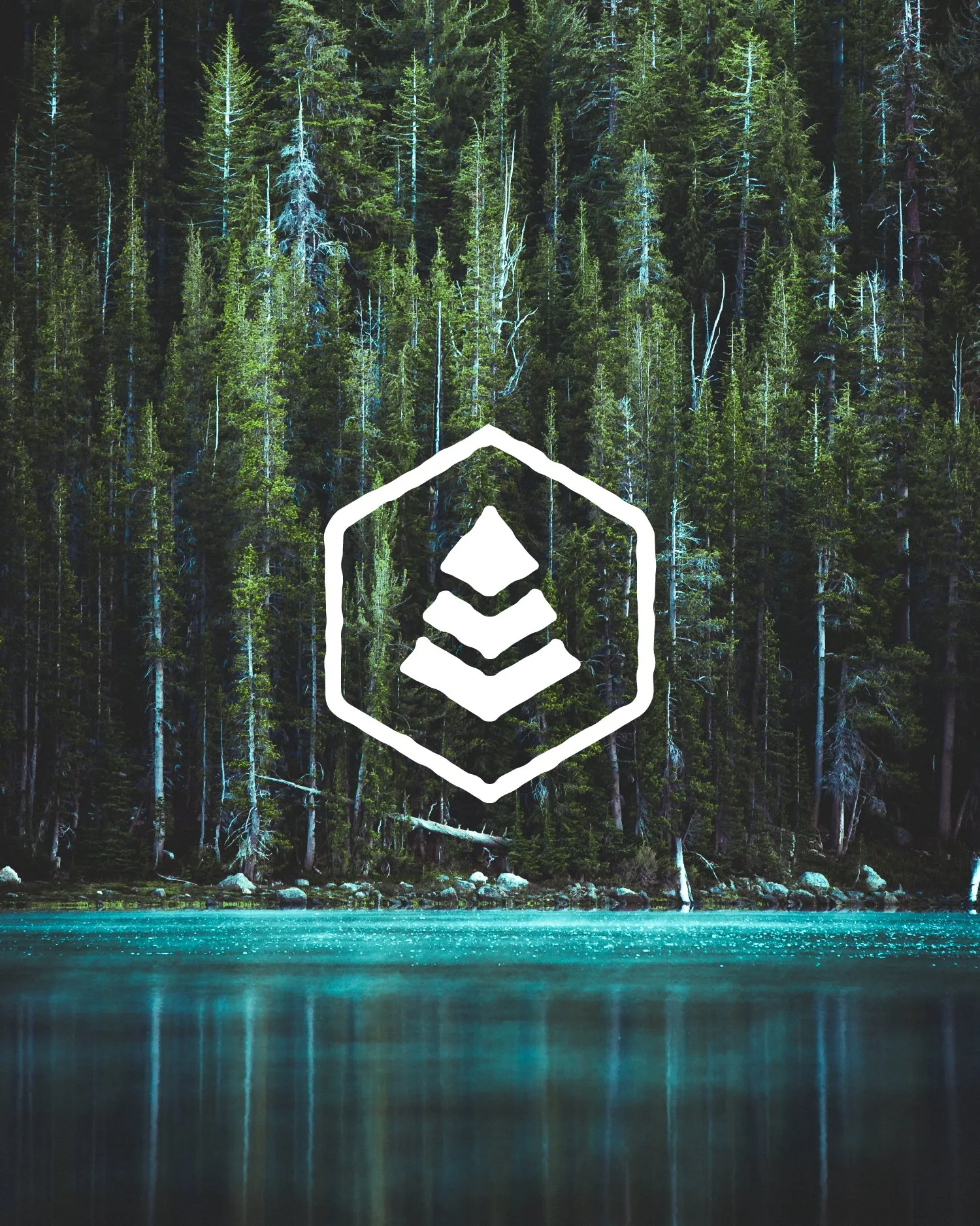 Brand style guide, 12 pages